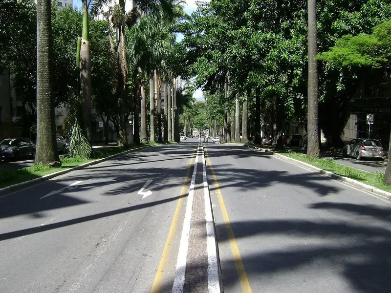 Av. Brasil, no Funcionários, bairro Funcionários, Belo Horizonte