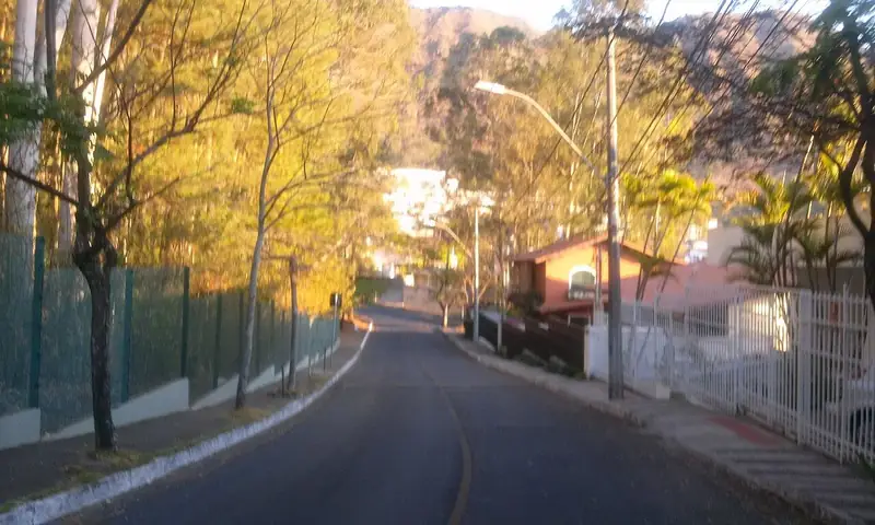 Rua arborizada no Mangabeiras, bairro Mangabeiras, Belo Horizonte