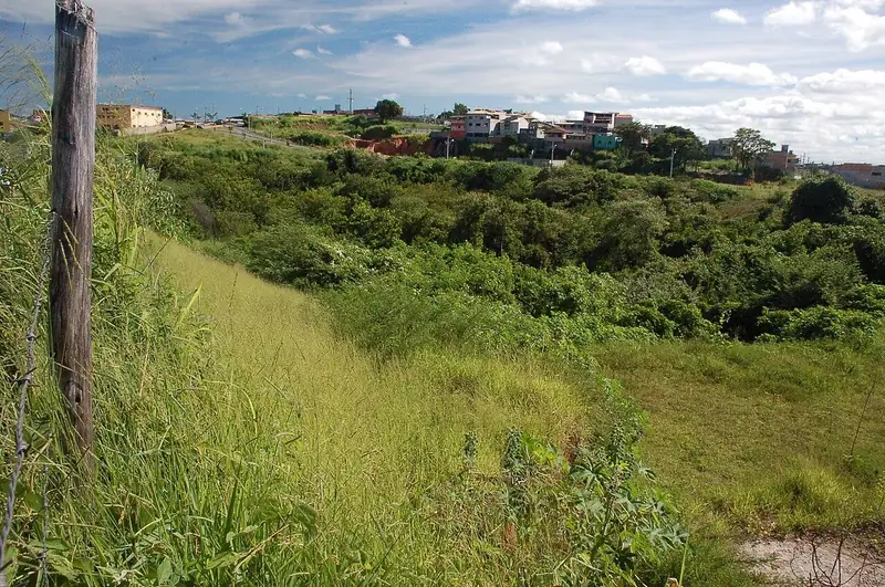Parque Municipal do Tirol, bairro Tirol, Belo Horizonte